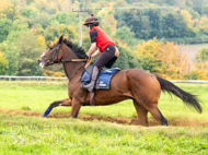 AK021025-59 - Believitanducan